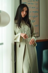 Timur Two Piece Dress Sage